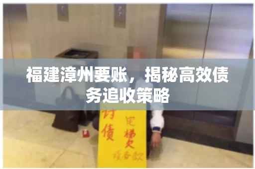 福建漳州要账，揭秘高效债务追收策略