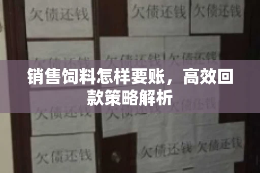 销售饲料怎样要账，高效回款策略解析
