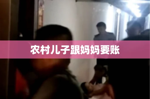 农村儿子跟妈妈要账