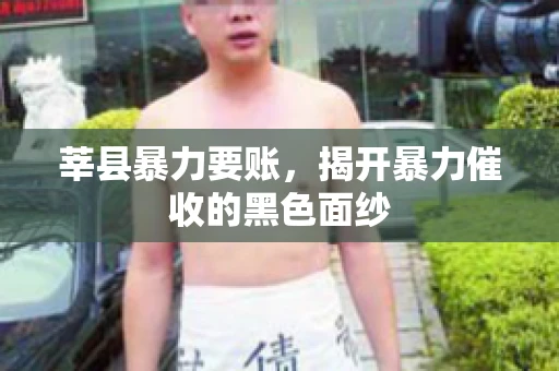 莘县暴力要账，揭开暴力催收的黑色面纱