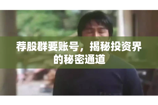 荐股群要账号，揭秘投资界的秘密通道
