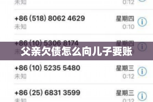 父亲欠债怎么向儿子要账