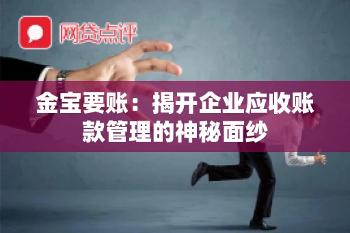 金宝要账：揭开企业应收账款管理的神秘面纱