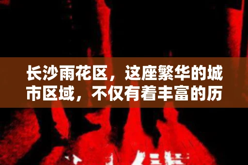 长沙雨花区，这座繁华的城市区域，不仅有着丰富的历史文化，还有着繁忙的金融活动。其中，催收公司作为金融行业的一个重要组成部分，在这里也有着不少的身影。那么，长沙雨花区都有哪些催收公司呢？今天，我们就来聊聊这个话题。