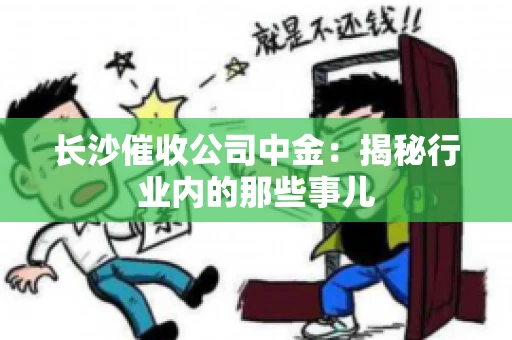 长沙催收公司中金：揭秘行业内的那些事儿