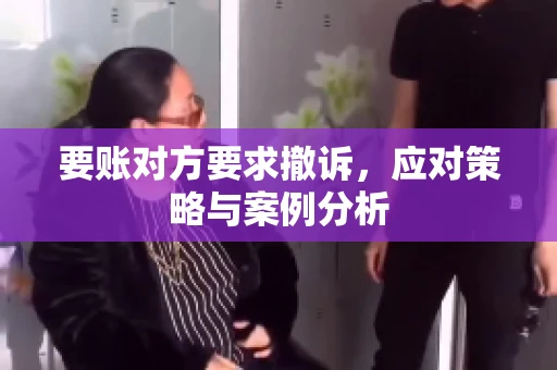 要账对方要求撤诉，应对策略与案例分析
